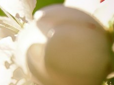 Standardi i ri ISO 14001 ndihmon Ndërmarrjet e Vogla dhe të Mesme (SME) të zhvillohen dhe të jenë të suksesshme