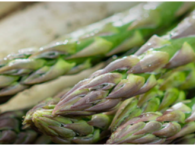 Standardi i ri ISO mbi asparagun dhe vlerat e tij ushqyese